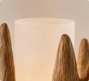 新生设计效果图:枝杈之间的磨砂灯罩特写
